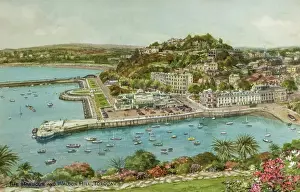 Waldon: The Harbour and Waldon Hill, Torquay, Devon
