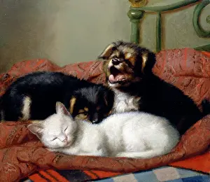Quilt: Its a Hard Life - Cat with Two Puppies