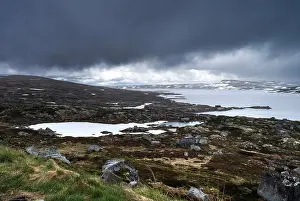 Vestland: Hardanger Plateau, Norway