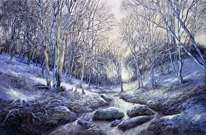 Hares: Hardcastle Crags