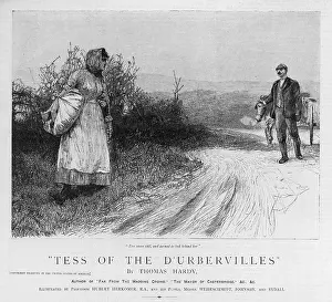 Urbervilles: HARDY/TESS D'URBERVILLES
