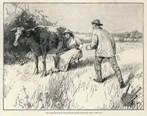 Urbervilles: HARDY/TESS D'URBERVILLES