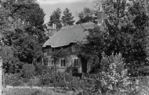 Thatched: Hardy's Cottage