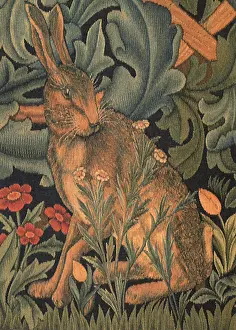 Hare