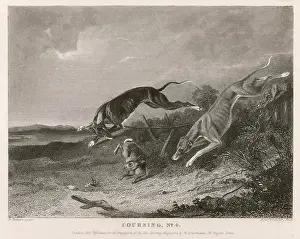 Coursing: HARE COURSING 1835