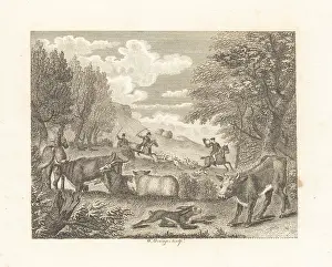 Betrayal: The Hare and Many Friends