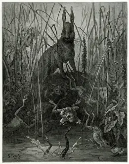 Timid: THE HARE AND THE FROGS