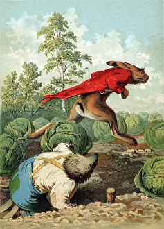 Hedgehog: Hare and Hedgehog