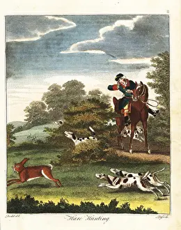 Beagles: Hare hunting, 18th century