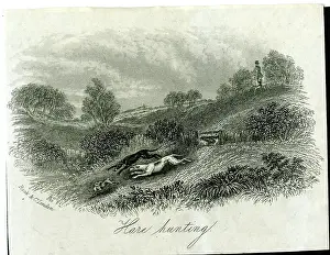 Stile: Hare Hunting