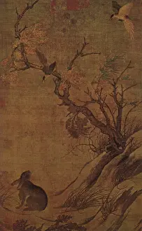 Jays: Hare and Jays