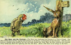 Litrature: The hare & the tortoise