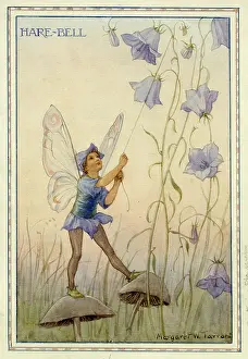 Harebell Fairy