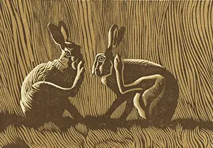 Cornfield: TWO HARES IN A CORNFIELD