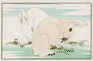 Hares: HARES (HOKUSAI)
