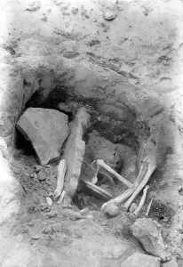 Harlyn: Harlyn Bay, the Excavations 1901
