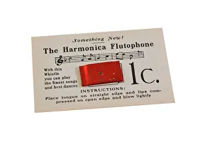 Tunes: Harmonica Flutophone and instructions