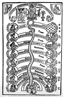 Terpsichore: The harmony of the spheres