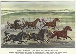 Racers: Six Harness Racers