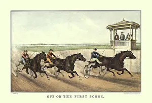 Racers: Three Harness Racers