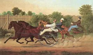 Vying: Harness Racing