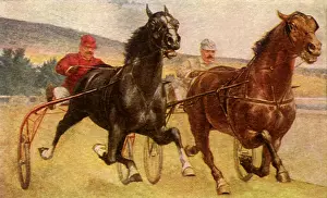 Spirited: Harness Racing