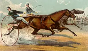 Galloping: Harness Racing