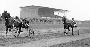 Bella: Harness racing in Mariendorf, 1916
