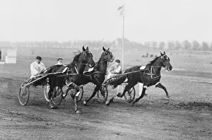 Fafner: Harness racing in Mariendorf, 1917