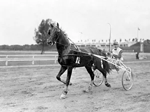 Grossmann: Harness racing in Ruhleben, 1910