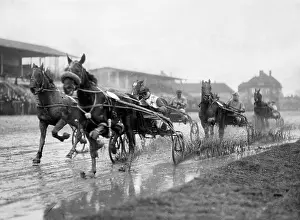 Froemming: Harness racing in Ruhleben, 1934