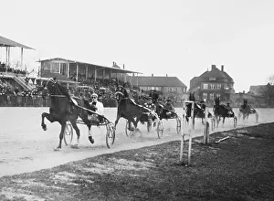 Eventual: Harness racing in Ruhleben, 1934
