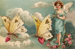 Harnessed: Harnessed Butterflies