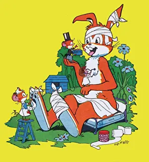 Bandages: Harold Hare