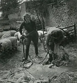Harpers: Harper's Bazaar - Oxford - Mrs Robert Hudson, Farm workers