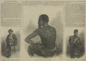 Scarred: Three Harpers Weekly, illustrations show the