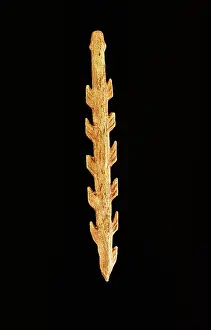 Anthropological: Harpoon carved from antler