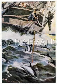 Harpooning: HARPOONING A PORPOISE