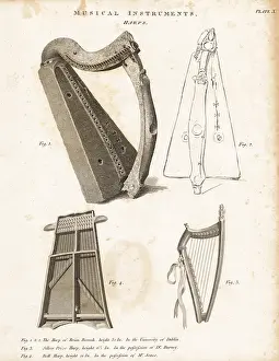 Harps: Harps