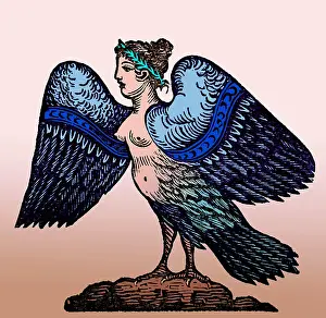 Harpy: Harpy, Legendary Creature