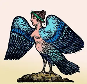 Harpy: Harpy, Legendary Creature