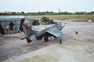 Sortie: Harrier at Belize