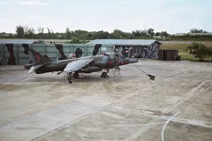 Sortie: Harrier at Belize