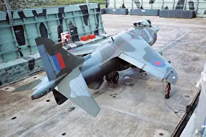 Sortie: Harrier at Belize