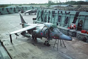 Sortie: Harrier at Belize