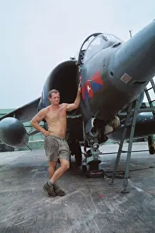 Gallon: Harrier at Belize