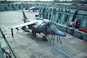 Sortie: Harrier at Belize