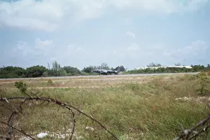 Belize: Harrier at Belize