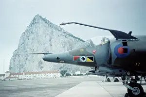 Gr.3: Harrier at Gibraltar