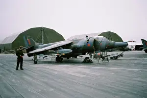 1453: Harrier at RAF Stanley